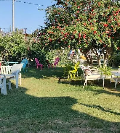 Holifera צ'נקלה
