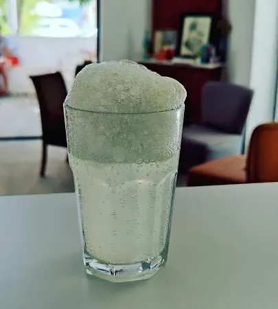 Holifera * צ'נקלה